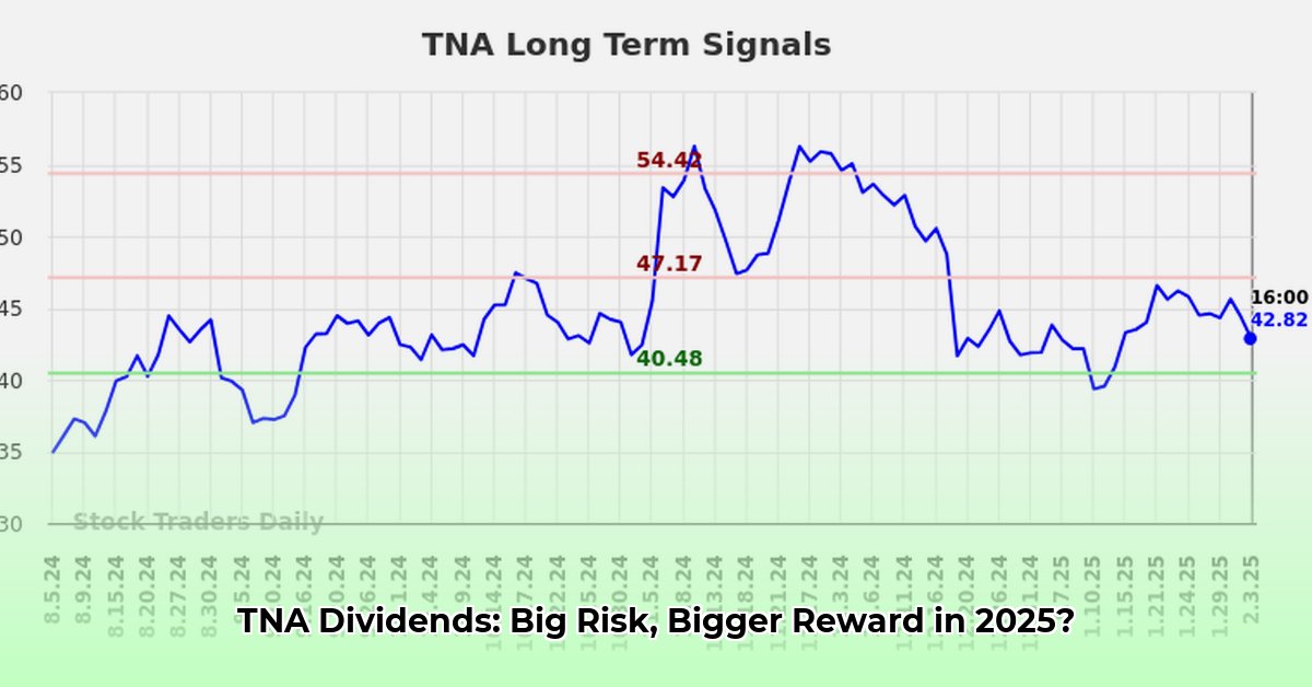 tna-dividend